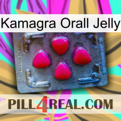 Kamagra Orall Jelly 13